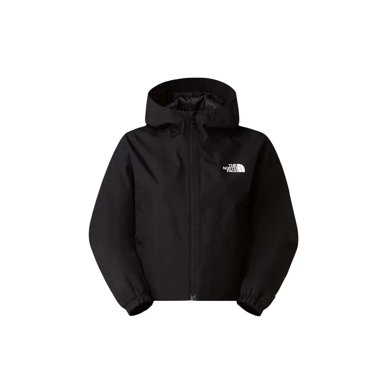 The North Face Femme Jaquettes